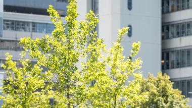 Universität Bielefeld